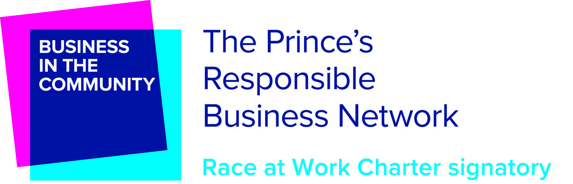 Race at work logo