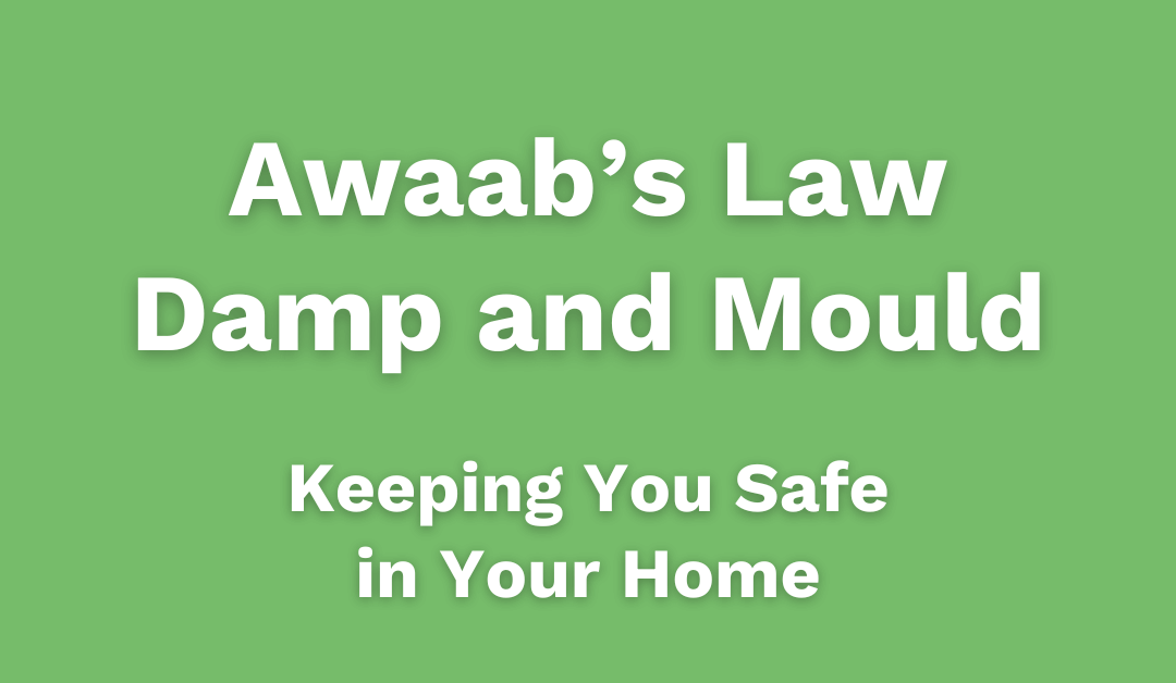 Awaab’s Law Damp and Mould
