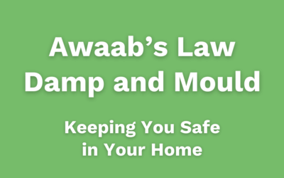 Awaab’s Law Damp and Mould