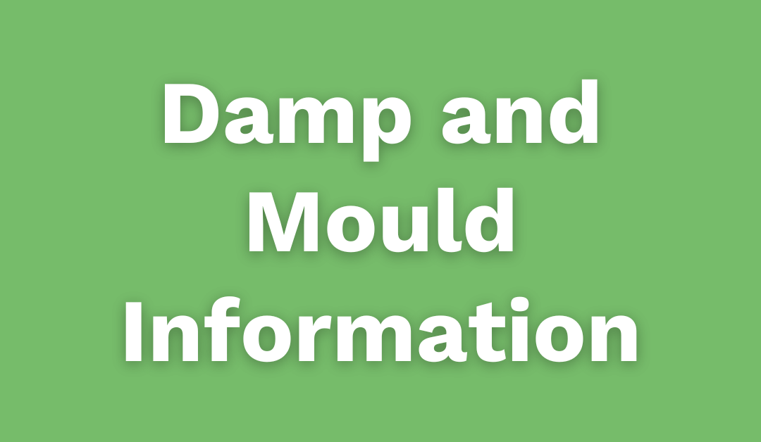 Damp and Mould Information
