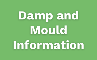 Damp and Mould Information