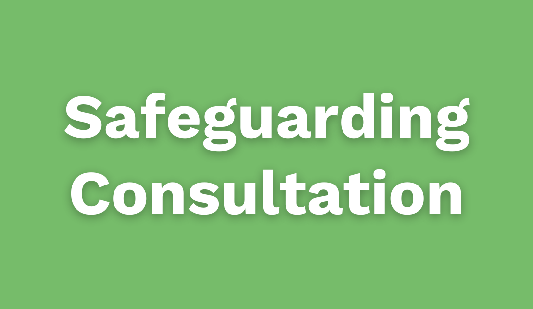 Safeguarding Consultation